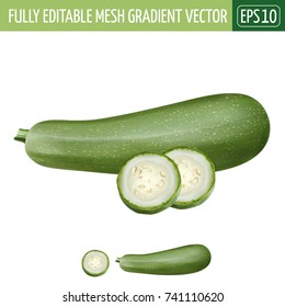 Zucchini on white background. Vector illustration