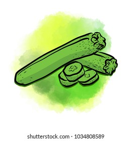 Zucchini painted background. Beautiful hand drawn vector sketch. Colorful elements for social media and print decoration.