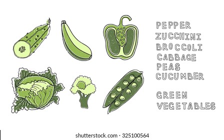 Zucchini, peas,pepper, cucumber, cabbage and broccoli - green vegetables set. Vintage vector illustration.