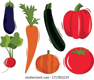 zucchini pepper eggplant tomato carrot radish pumpkin. hand drawn fresh delicious vegetables isolated on white background. Flat cartoon vector illustration. 