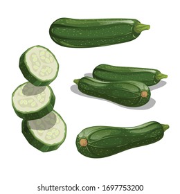 Zucchini set. Whole vegetable, cut, single and group. Flying slices. Farm fresh veggies. Vector illustrations isolated on white background.