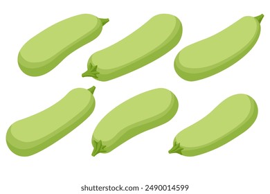 Zucchini set. Whole vegetable, cut, single and group. Flying slices.Vector illustrations isolated on white background.