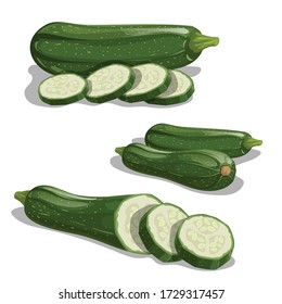 Zucchini set. Whole vegetable, cuts, single and group.  Farm fresh veggies ready for cook. Vector illustrations isolated on white background.