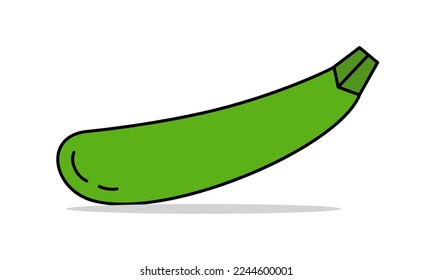 Zucchini. Sketch. Line style. Vector illustration 