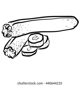Zucchini Sketch Vegetables Outline Vector Artwork, Hand drawn image