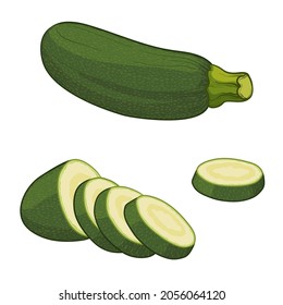 Zucchini and zucchini slices. Colorful vector illustration, isolated on a white background.