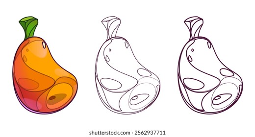 Zucchini squash, autumn harvest from vegetable garden. Fruits yellow pumpkin flat outline drawing. Vector cartoon illustration on white background. Cartoon drawing pumpkin edible plant. Fruits autumn 