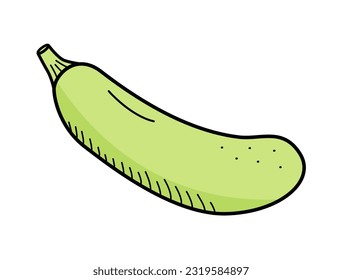 Icono del doodle de squash Zucchini. Ilustración vectorial única en un fondo blanco.