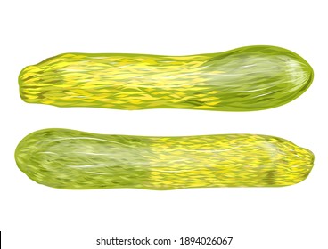 Zucchini, zwei Töne einzeln auf weißem Hintergrund