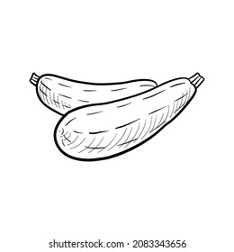 Zucchini, Vector Drawing Sketch Of Vegetable Isolated At White Background,hand Drawn Illustration