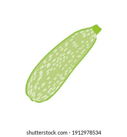 Zucchini. Vector hand drawn vegetables isolated on white background. zucchini, vector sketch illustration