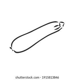 Zucchini. Vector hand drawn vegetables isolated on white background. zucchini, vector sketch illustration