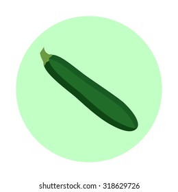 Zucchini vector illustration. Flat design