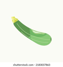 Zucchini. Vector illustration of green zucchini with yellow branch for menu design or advertising or article.