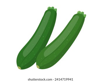 Zucchini vector illustration material vegetable