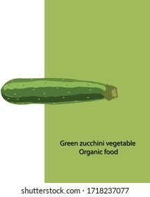 Zucchini Vector Illustration on  white and green background