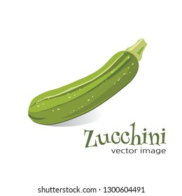 Zucchini vector image
Image of a zucchini with the word “Zucchini” isolated in white.