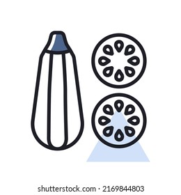Icono aislado del vector Zucchini. Pancarta de barbacoa y parrilla. Verdura. Símbolo gráfico para cocinar diseño de sitio web y aplicaciones, logotipo, aplicación, interfaz de usuario