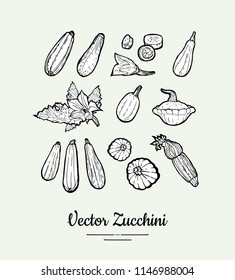 Zucchini vector set. Vegetarian poster, banner, logo, icons, sticker, menu, shop, restaurant, label template. Food line hand drawn illustration. Zucchini black and white sketch isolated vegetables.