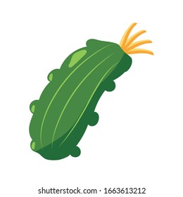 zucchini vegetable icon over white background, flat detail style, vector illustration