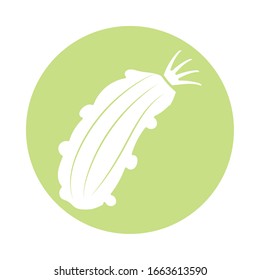 icono de zucchini vegetal sobre fondo blanco, estilo de bloque, ilustración vectorial