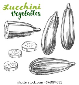 zucchini vegetable set hand drawn vector illustration realistic sketch