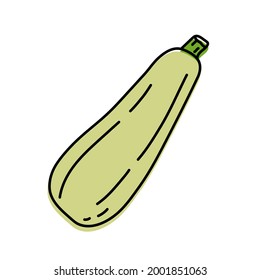 Zucchini. Vegetable sketch. Color simple icon. Hand drawn vector doodle illustration