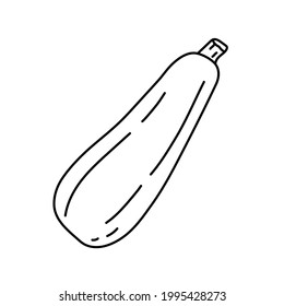 Zucchini. Esbozo vegetal. Icono de contorno simple delgado. Vector de línea de contorno negro. Dibujo a mano de Doodle