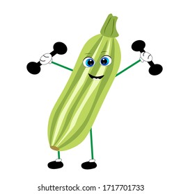 Zucchini vegetable vector  illustration. vegetarian food