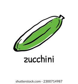 Zuccini hand drawn vector illustration. Green squash vegetable. Zuccini healthy food isolated on white background. Icon hand drawn