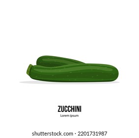 Zuccini template design. Fresh green squash isolated on the white background. Vector illustration