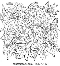 Zygocactus flowers and bird.Line art drawing. Coloring page for adult and older children