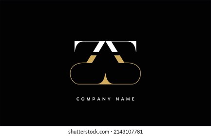 Logo-Monogramm für Alphabets-Buchstaben von ZZ
