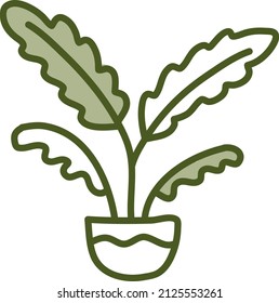Planta ZZ, ilustración, vector sobre fondo blanco.