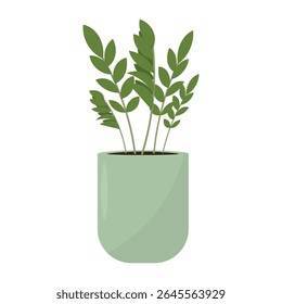 ZZ planta em pote, Zamioculcas. Planta de gema de Zanzibar. Plantas em vasos interiores. Decoração interior da casa. Ilustração vetorial, estilo plano.
