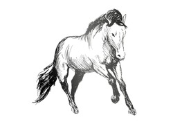 Similar Images, Stock Photos & Vectors of Hand Sketch Running Horse