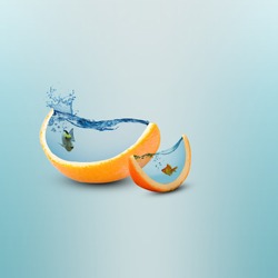 Creative orange fruit slice aquarium photo manipulation/Juicy orange fruit slice/Creative design