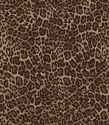 Animal skin leopard pattern in vector