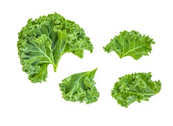 Creative layout made of kale leaves. Flat lay. Raw Kale salad isolated on white background. Food concept.
