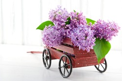 Purple lilac flower bouquet in a decorative wooden carriage on white vintage background