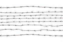 Barbed wire isolated on white