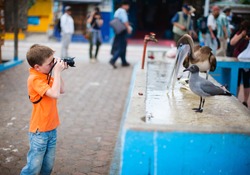 Cute little boy photographing at seafood market