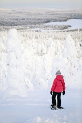 Back view of pre-teen girl hiking in snowshoes in winter forest among snow covered trees in Lapland Finland