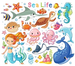 Vector set with sea animals and a mermaid. Collection of marine inhabitants in the cartoon style of children.
