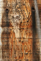 image from wood background series