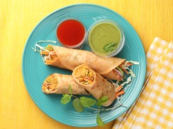 Spring rolls or vegetable rolls or vegetable wrap with tomato sauce and mint dip, Asian food