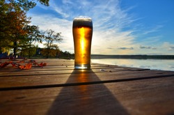 autumn beer backlit afternoon sun under blue sky, landscape