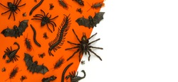 Black Halloween creepy crawly bugs and spiders on orange background with blank white space for text or image