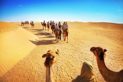 People in the Sahara desert