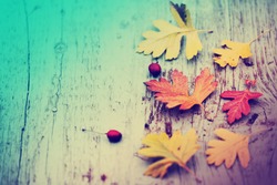 Autumn background/Autumn leaves over wooden background/ Thanksgiving day concept